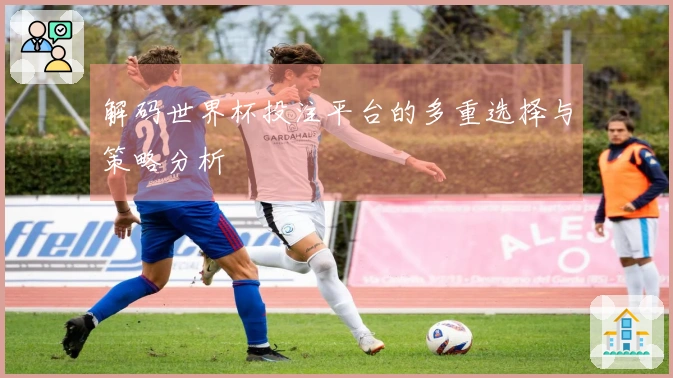解码世界杯投注平台的多重选择与策略分析