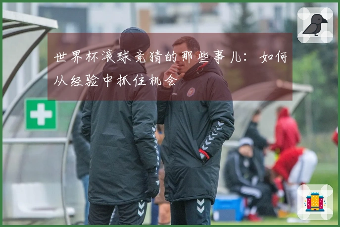 世界杯滚球竞猜的那些事儿：如何从经验中抓住机会