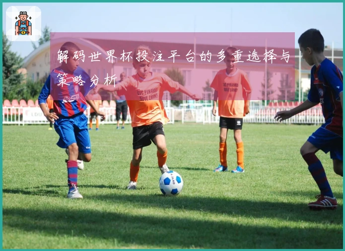 解码世界杯投注平台的多重选择与策略分析