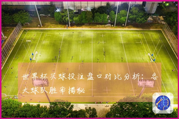 世界杯买球投注盘口对比分析：各大球队胜率揭秘
