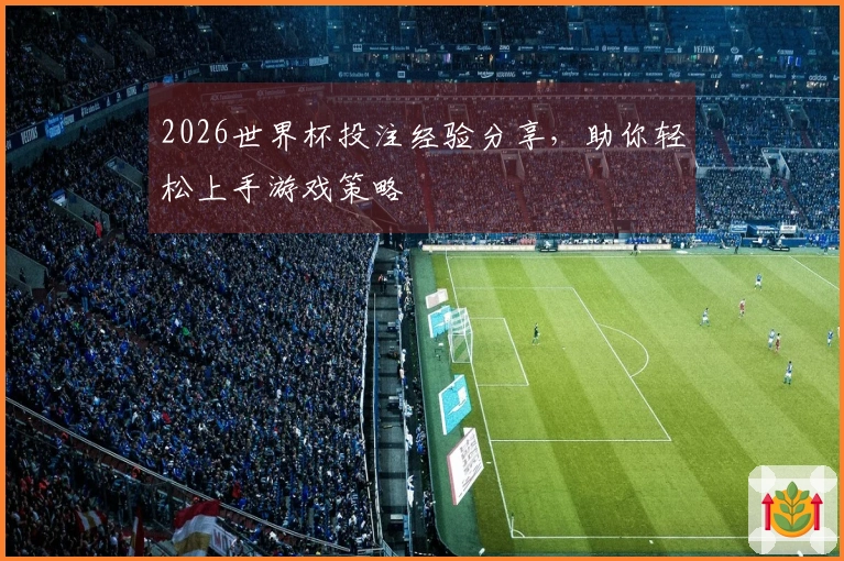 2026世界杯投注经验分享，助你轻松上手游戏策略