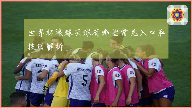 世界杯滚球买球有哪些常见入口和技巧解析