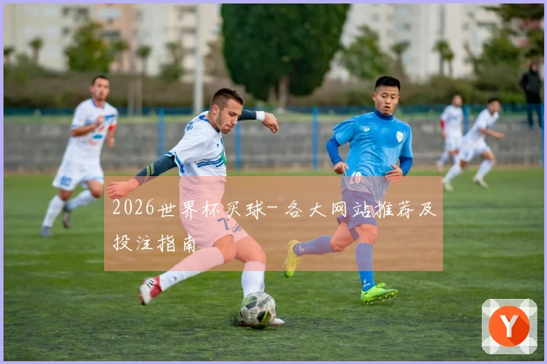 2026世界杯买球- 各大网站推荐及投注指南