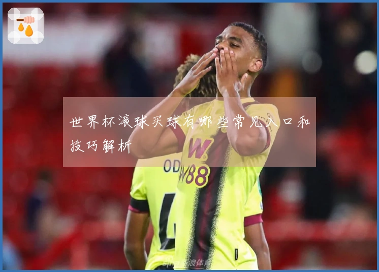 世界杯滚球买球有哪些常见入口和技巧解析