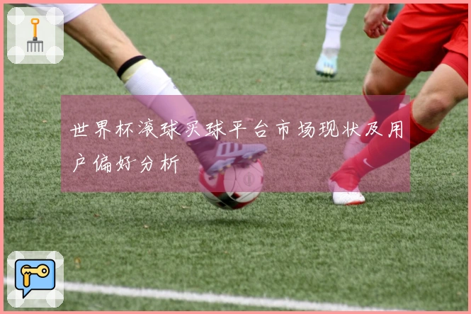 世界杯滚球买球平台市场现状及用户偏好分析