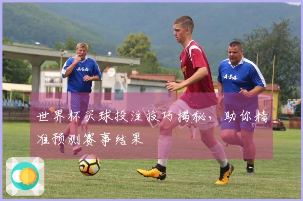 世界杯买球投注技巧揭秘，助你精准预测赛事结果