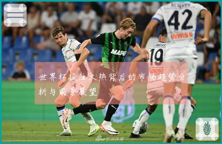 世界杯投注大热背后的市场趋势分析与前景展望