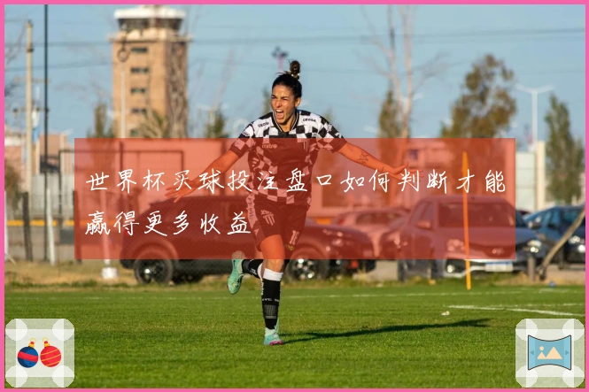 世界杯买球投注盘口如何判断才能赢得更多收益