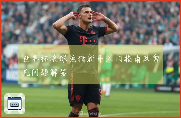 世界杯滚球竞猜新手入门指南及常见问题解答