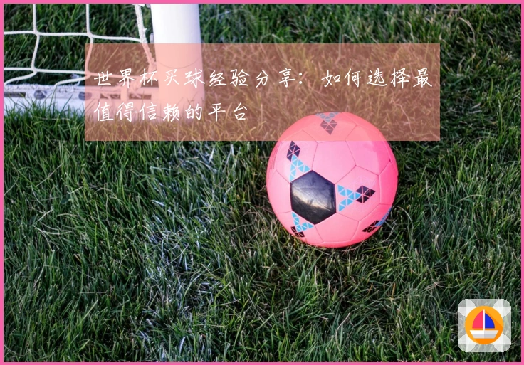 世界杯买球经验分享：如何选择最值得信赖的平台